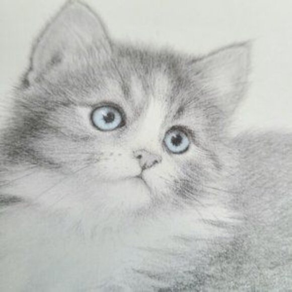 Signed by Virginia Miller framed art. Kitten portrait. - Picture 2 of 5